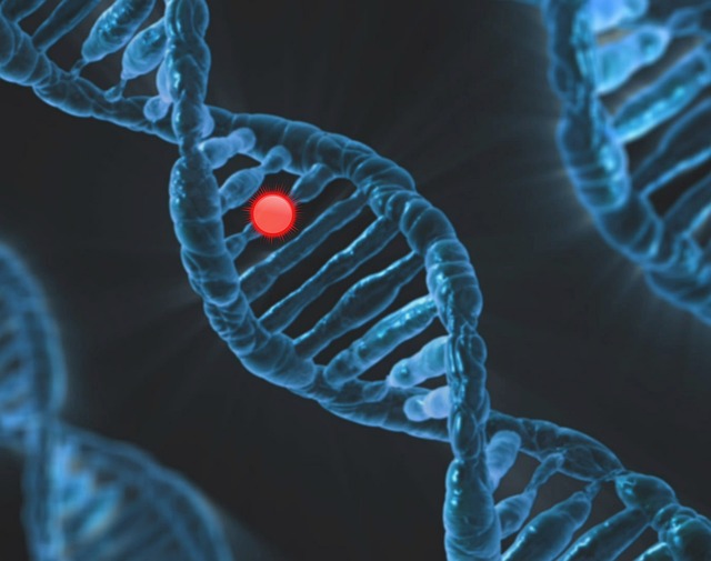 Aberrant DNA Methylation Patterns in PWS