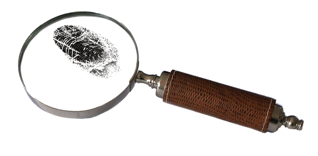 Evidence from Genetic and Molecular Studies