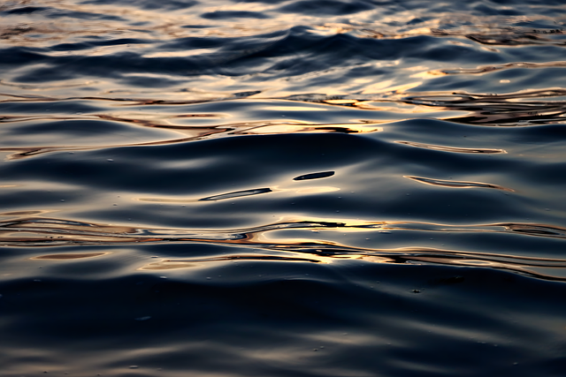 Potential Metabolic Ripple Effects