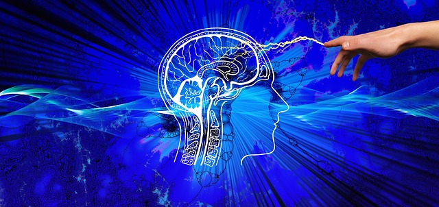 Prions, Brain Damage, and the Exosome Delivery Service