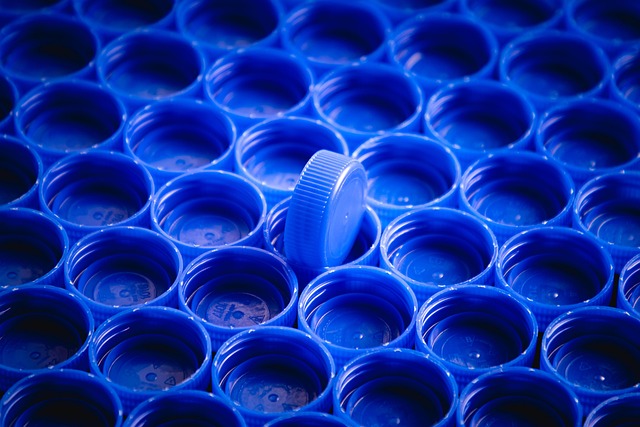 The Cellular Recycling Program: Glycosaminoglycan Degradation