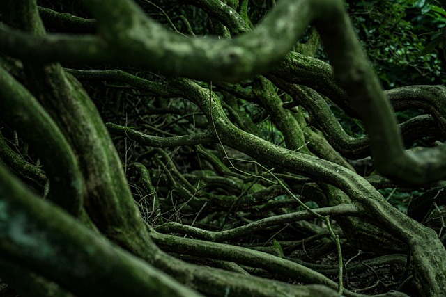 The Genetic Roots of DBA: Faulty Ribosomal Protein Genes