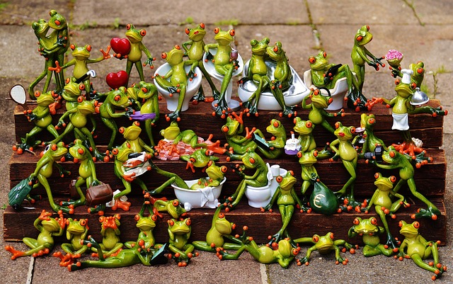 The High-Stakes Assembly Line: Ribosome Biogenesis