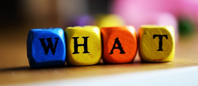 What is Mitophagy? The Mitochondria Quality Control System