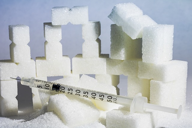 Ceramides and Insulin Resistance: Unraveling the Complex Connection