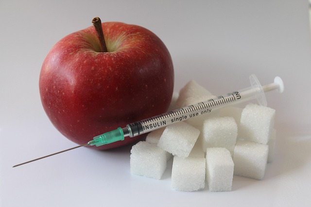 Ceramides and Insulin Resistance: Unraveling the Metabolic Link