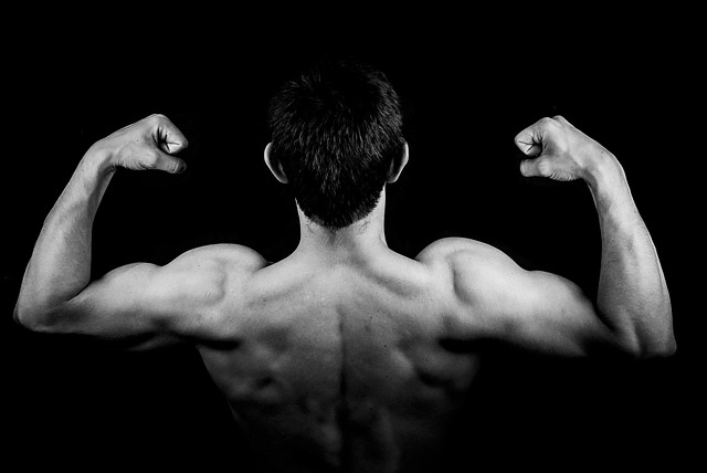 Decoding the Muscle-Adipose Axis: A Key to Insulin Resistance