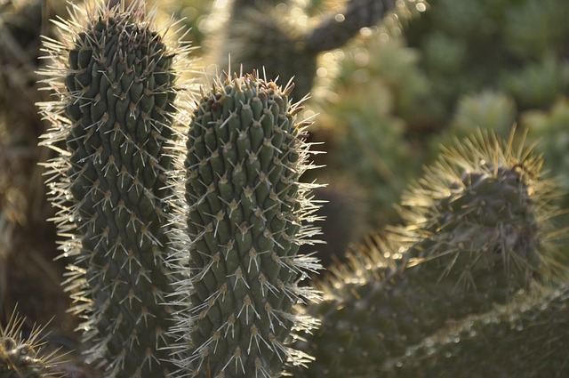 Ferroptosis and Acute Lung Injury: Unraveling the Connection