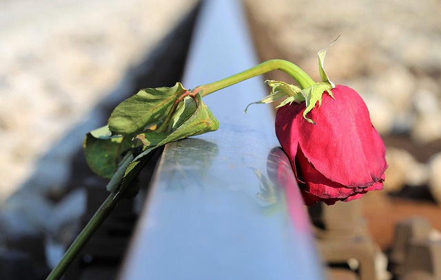 GSK-3 and Traumatic Brain Injury: Unraveling the Complex Connection