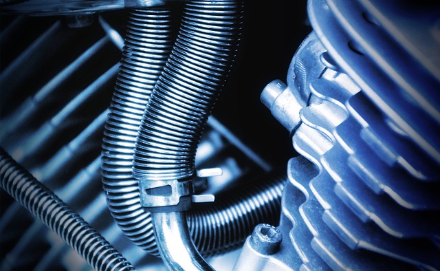 Heart Failure's Engine Room: The Critical Role of SERCA Pump Dysfunction