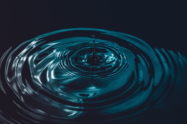 Microplastics' Behavioral Impact on Marine Life: A Deep Dive