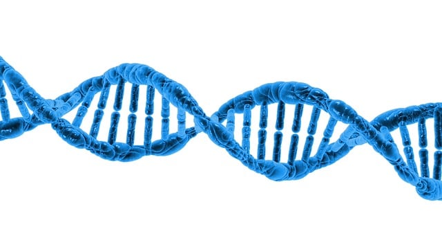 Mitochondrial DNA Copy Number and Parkinson's Disease: Decoding the Link