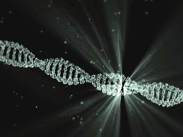 Mitochondrial DNA Repair Dysfunction in Parkinson's Disease: Unraveling the Link