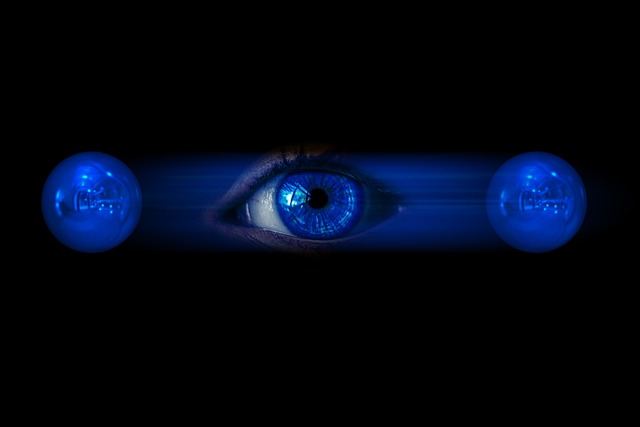 Quantum Entanglement and Bird Navigation: A Radical Connection?