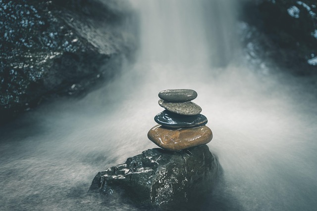 The Brain's Balancing Act: Cholesterol Metabolism and Alzheimer's Disease