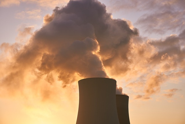 The Nuclear Gatekeeper's Decline: Is NPC Dysfunction Driving Aging?