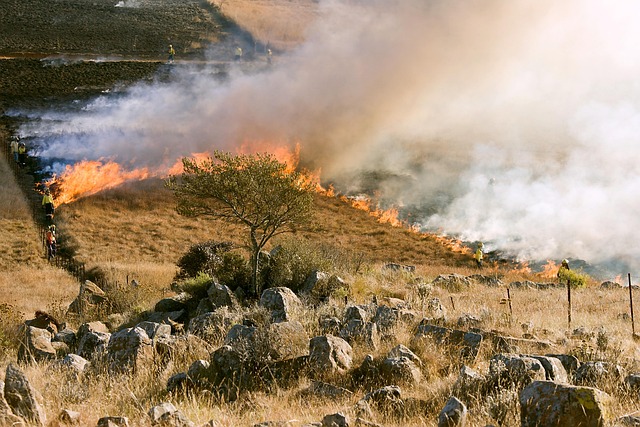 Wildfire Smoke's Hidden Toll: How Air Pollution Impacts Your Brain