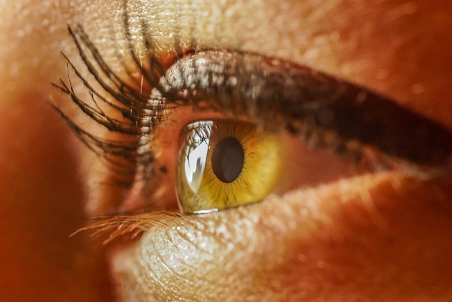 Digital Eye Strain and Sleep Disruption: The Clearer Impacts