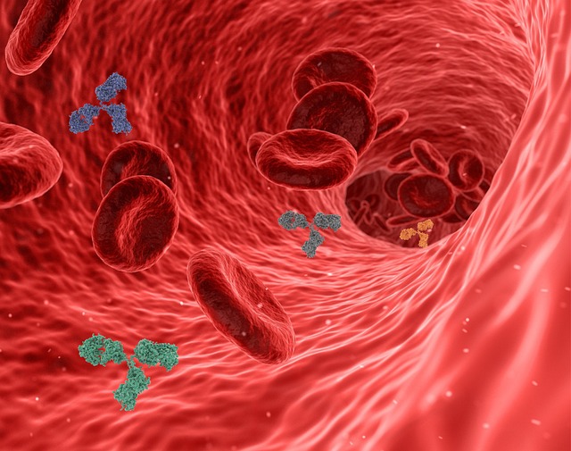Immune Activation and Inflammation