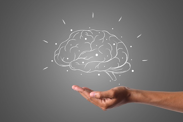 Impact on Brain Structure and Function