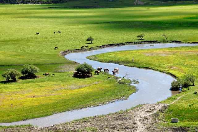 Protecting the Inner Ecosystem: Countermeasures & Future Directions