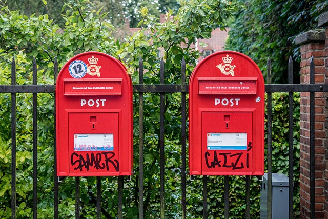 The Cell's Postal Service: mRNA Export Explained
