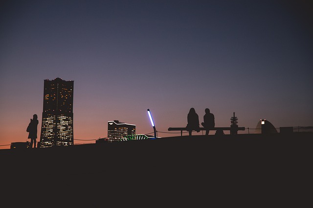 The Shadow of Progress: Artificial Light Pollution