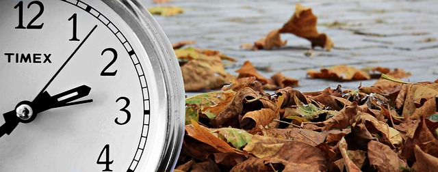 When the Clock Goes Awry: Circadian Disruption in Bipolar Disorder